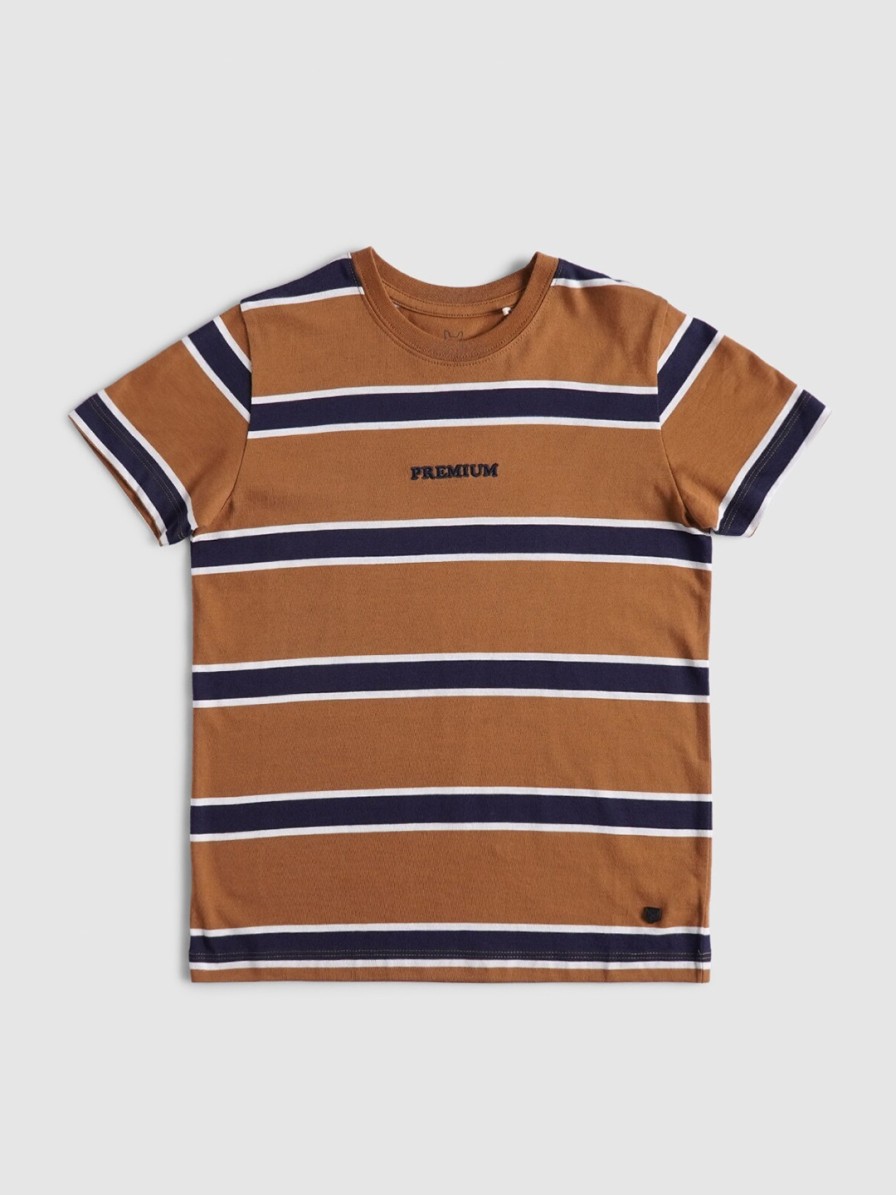 Kids Jack & Jones T-Shirts | Buy Jack & Jones Boys Brown & Navy Blue Striped T Shirt - Apparel For Boys