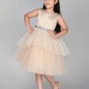 Kids Toy Balloon kids Party Wear | Buy Toy Balloon Kids Girls Embellished Detailed Fit & Flare Dress - Apparel For Girls