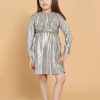 Kids PICCOLO Party Wear | Buy Piccolo Silver Toned Striped Leather Satin A Line Dress - Apparel For Girls