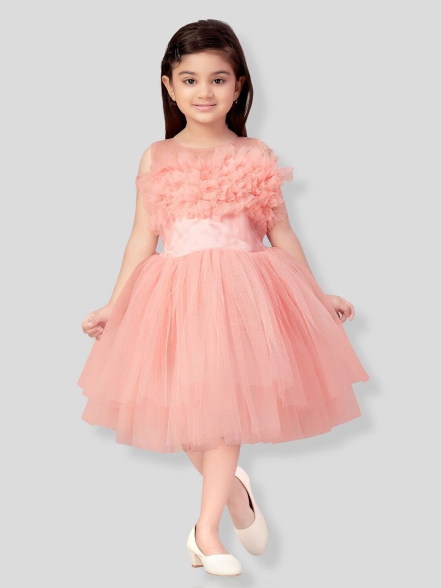 Kids Aarika Party Wear | Buy Aarika Girls Round Neck Fit And Flare Net Dress - Apparel For Girls